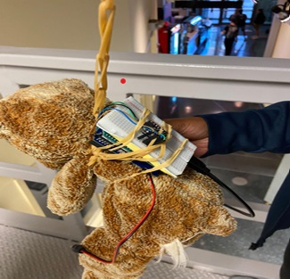 Bungee Lab Experiment Setup